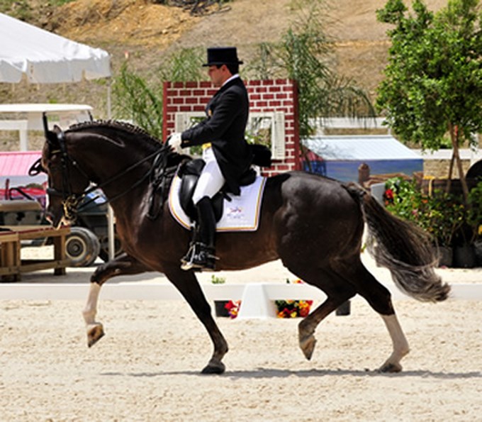 Este sábado en Bogotá, Concurso Nacional de Adiestramiento Equino. 1 Foto C.O.C.