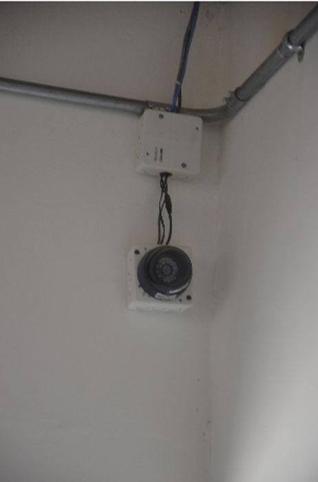 Foto: Guillermo Naranjo