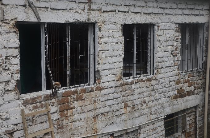 Foto: Guillermo Naranjo