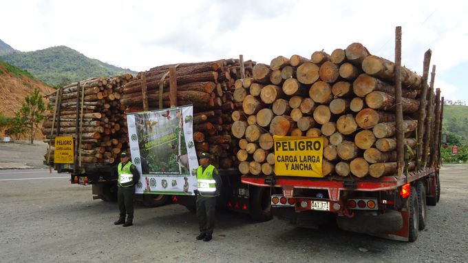 Foto: Policía Antioquia