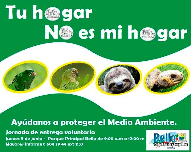 10361312_10154168213525506_3837005255138137158_n