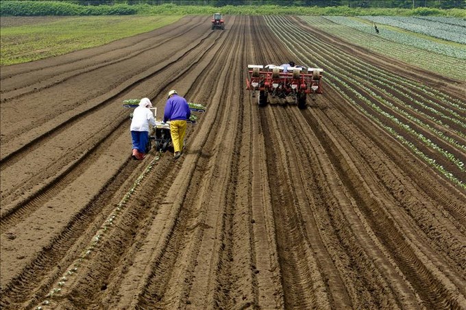 america latina agricultura