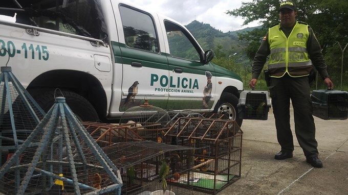 Foto Cortesía MEVAL