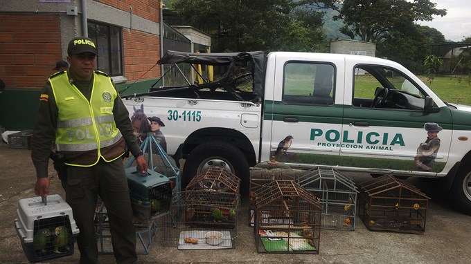 Foto Cortesía MEVAL