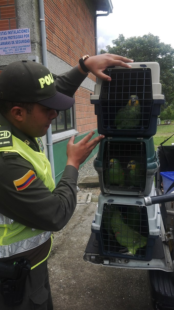 Foto Cortesía MEVAL