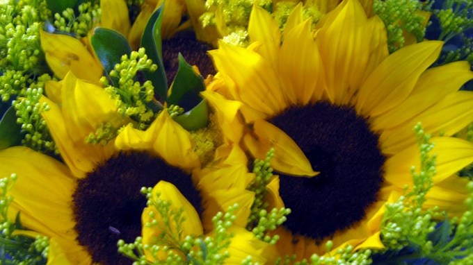 Floricultores del Oriente fueron certificados 1 Unimedios 0804 5 01 Copiar1