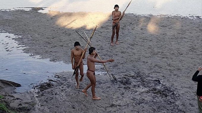 Un vídeo muestra el primer contacto con una tribu indígena en Brasil