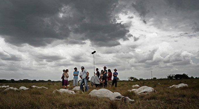 "Tierra en la Lengua"