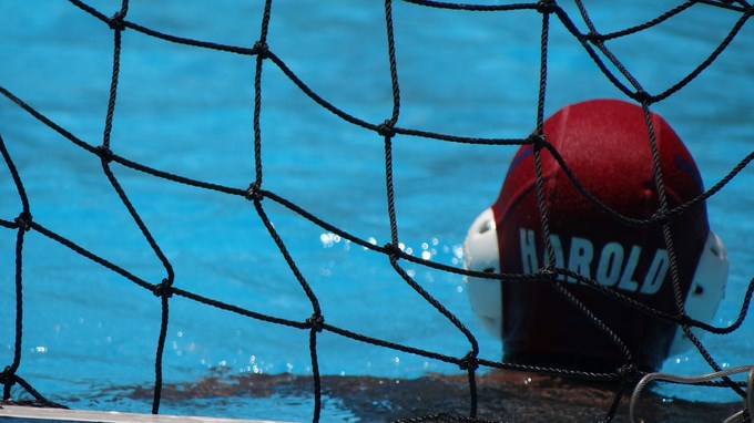 Polo Sub 15 (6) (Copiar)
