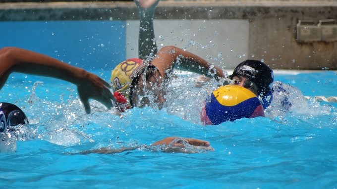 El polo acuático con presencia internacional en Feria de las Flores 1 Foto Liga Antioqueña de Natación