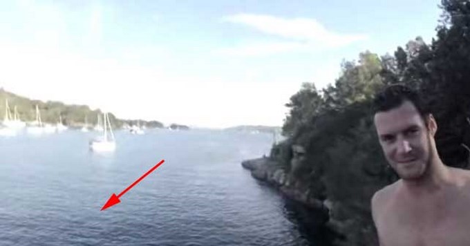 Se tiró al mar sin saber que un tiburón blanco lo esperaba. Video.