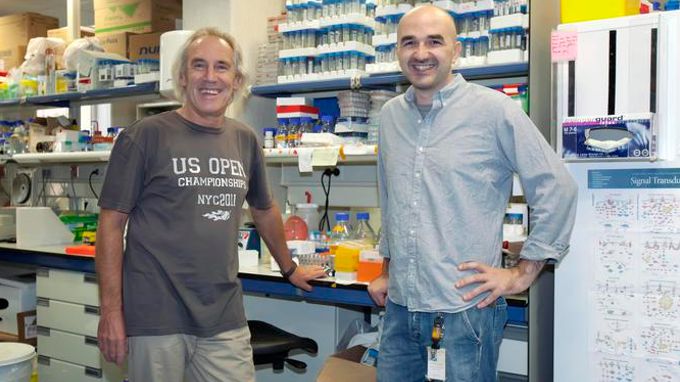 Erwin Wagner y Michele Petruzzelli. /CNIO