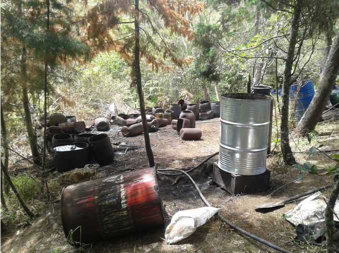 Foto: Policía Antioquia