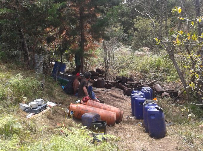 Foto: Policía Antioquia