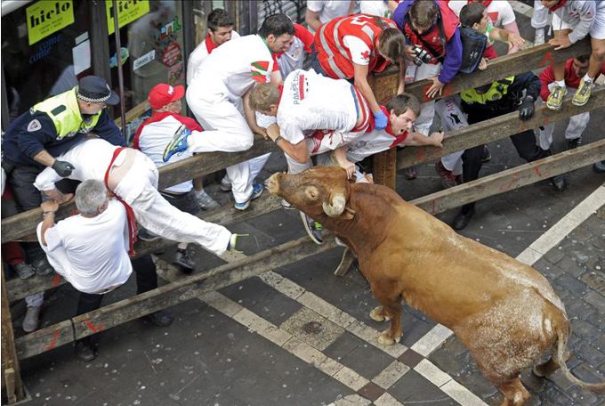 Un corredor australiano fue uno de los tres corneados por el toro suelto de la Ganadería de los Miura. Foto: EFE