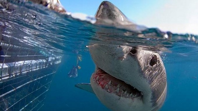 El Salto del Tequendama, uno de los 7 lugares más peligrosos pero más bellos del planeta. Fotos