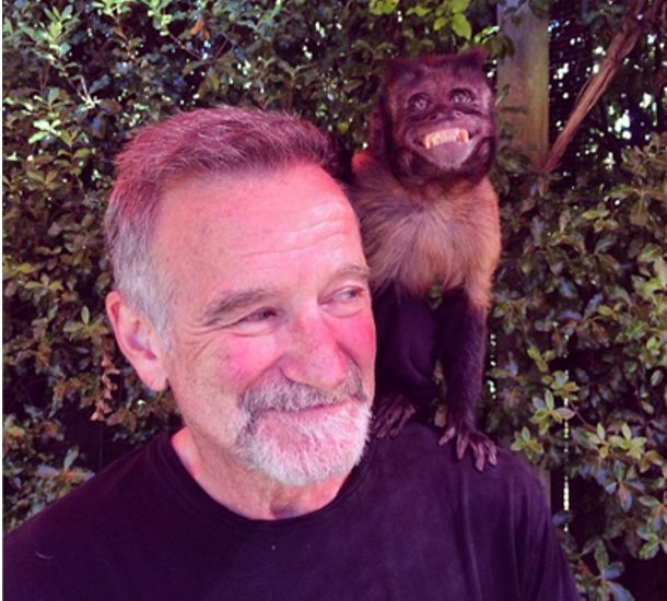 Happy Birthday to me! A visit from one of my favorite leading ladies, Crystal. Instagram, 21 de julio