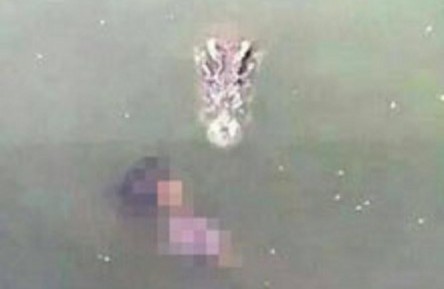 En Video: Mujer se suicida lanzándose a los cocodrilos en un zoológico