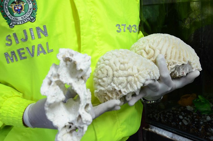 Foto: Policía Metropolitana