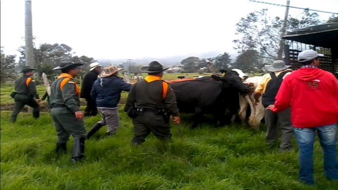 Fotos: Cortesía Antioquia
