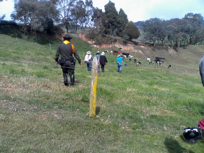 Fotos: Cortesía Antioquia
