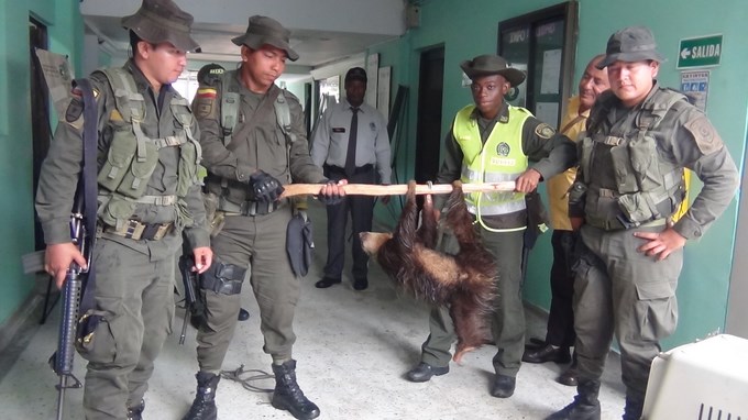 Foto: Cortesía Policía Chocó