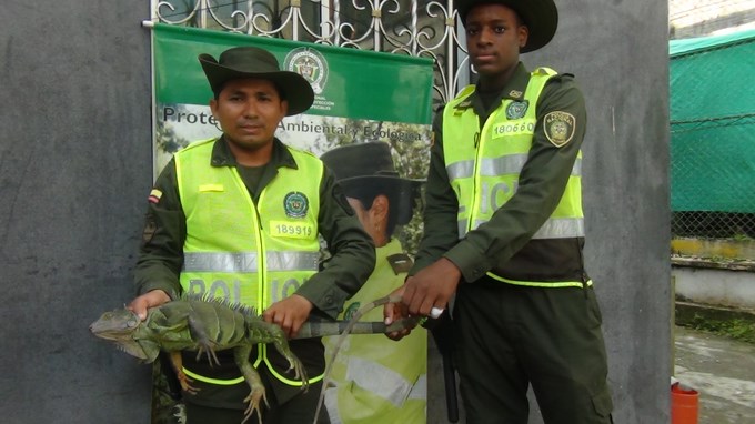 Foto: Cortesía Policía Chocó