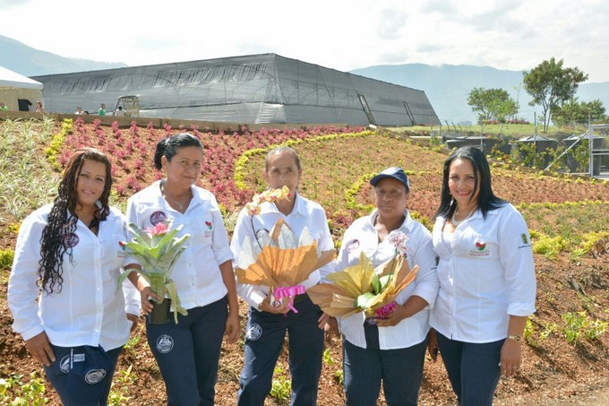 Foto: Alcaldía de Medellín