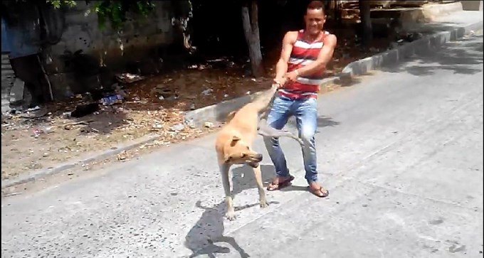 En Video: Hombre maltrata a un perro agarrándolo por la pata