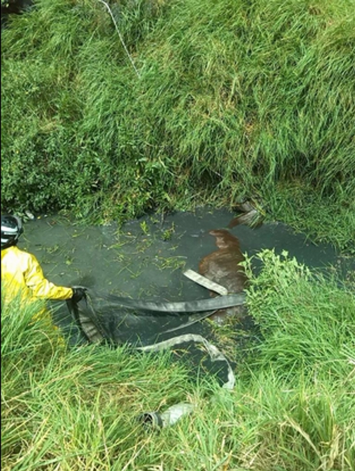 Foto: @BomberosBogota