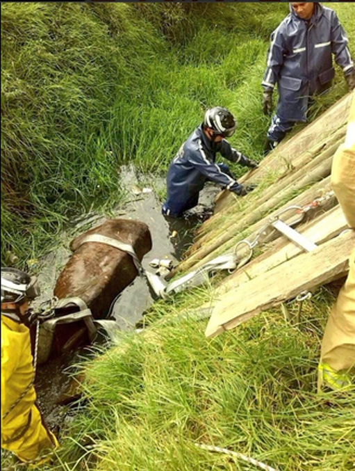 Foto: @BomberosBogota