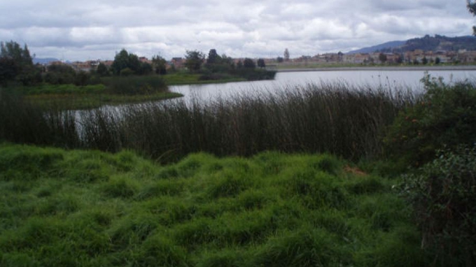 Bogotá invertirá 8 mil millones para recuperar un brazo del Humedal Juan Amarillo