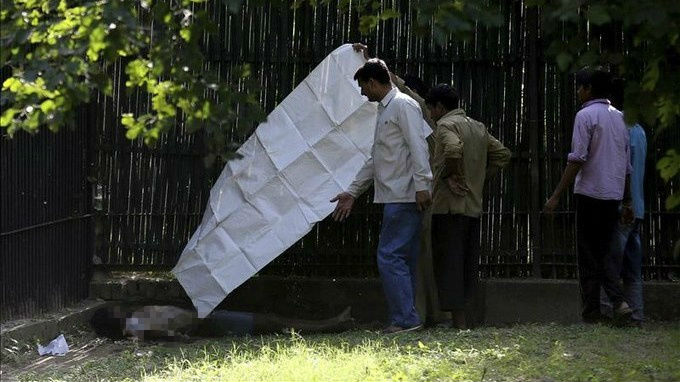 En Fotos y Video: Un tigre blanco mata a un joven en un zoológico