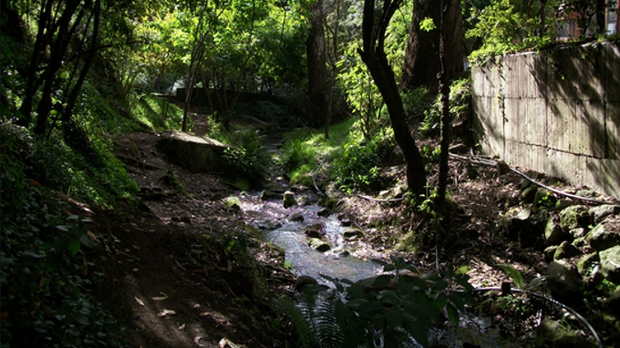 Bogotá trabaja por la recuperación de 19 quebradas del Distrito