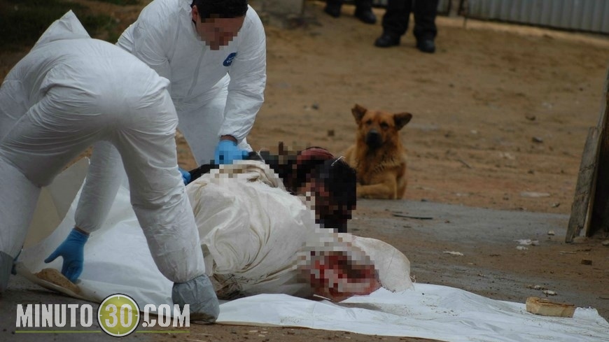 Foto: Fco. Javier Bohórquez