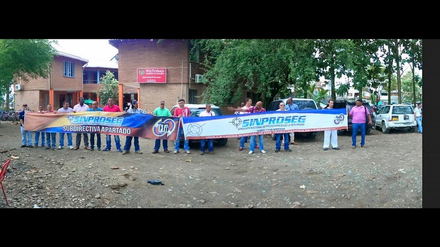 10732391_4917556034001_357932841_o (Copiar)