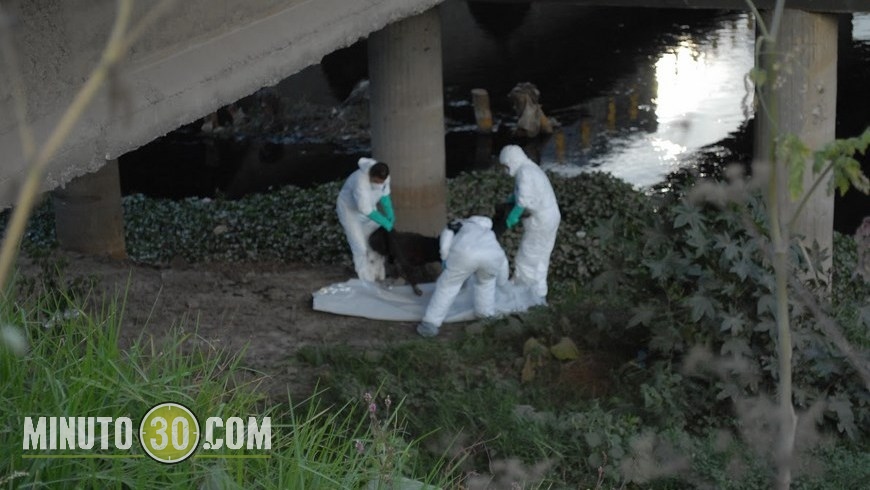 Foto Fco Javier Bohórquez