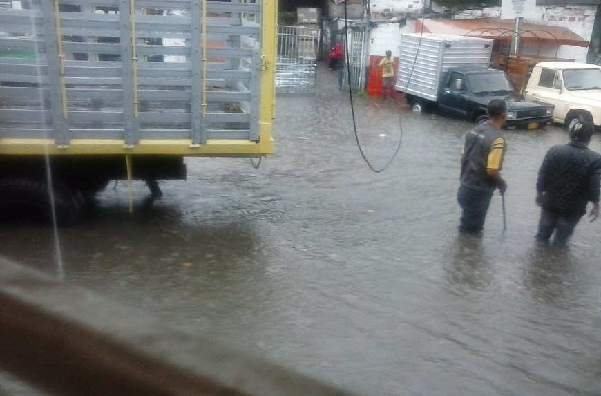 20141029_151109 (Copiar)