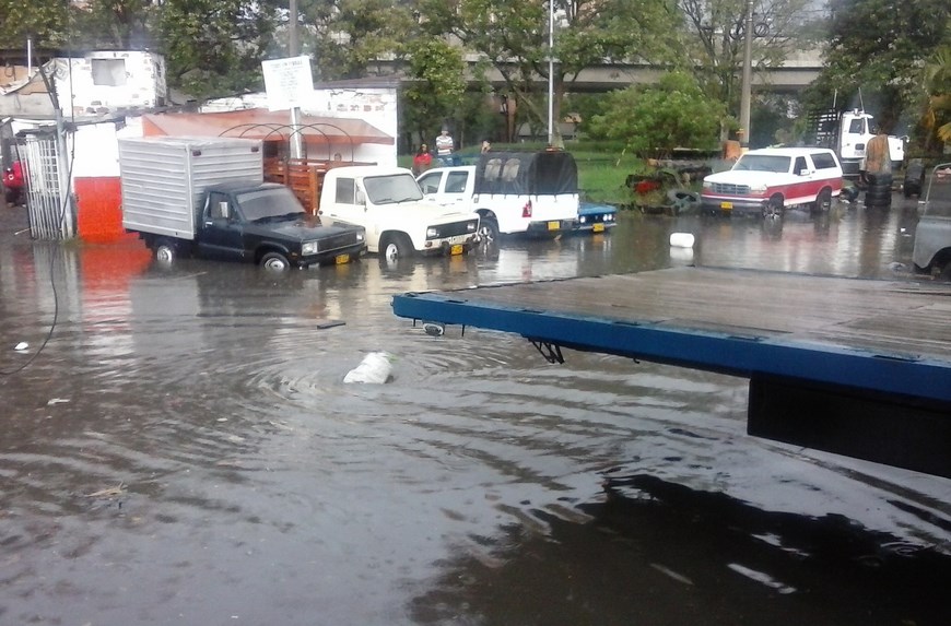 20141029_154854 (Copiar)