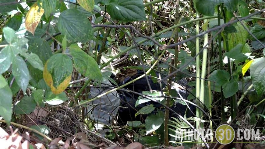 CADÁVER LAS PALMAS (3)