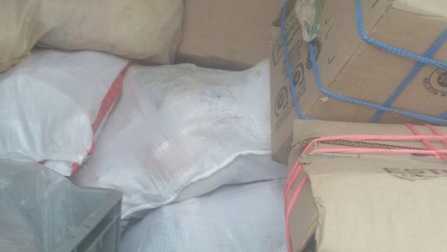 Pollo incautado en Cañasgordas. Foto: Policía Antioquia