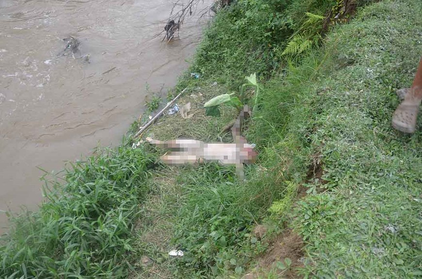 Foto: Cortesía Guillermo Naranjo