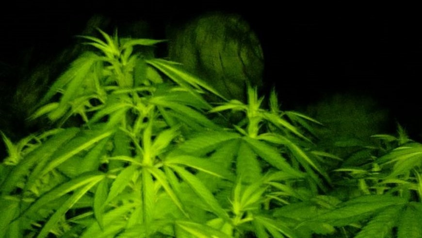 Foto: Tercera División