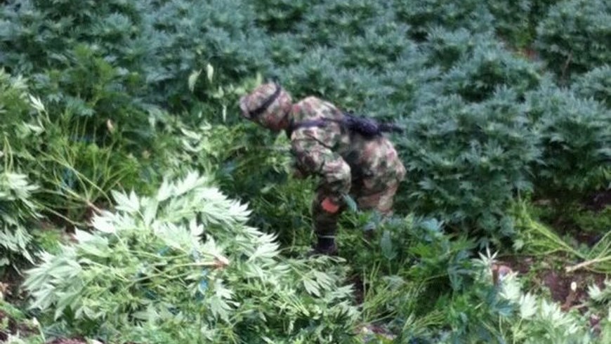 Foto: Tercera División