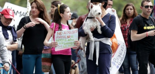 Unas 600 personas marcharon en Bogotá por los derechos de los animales