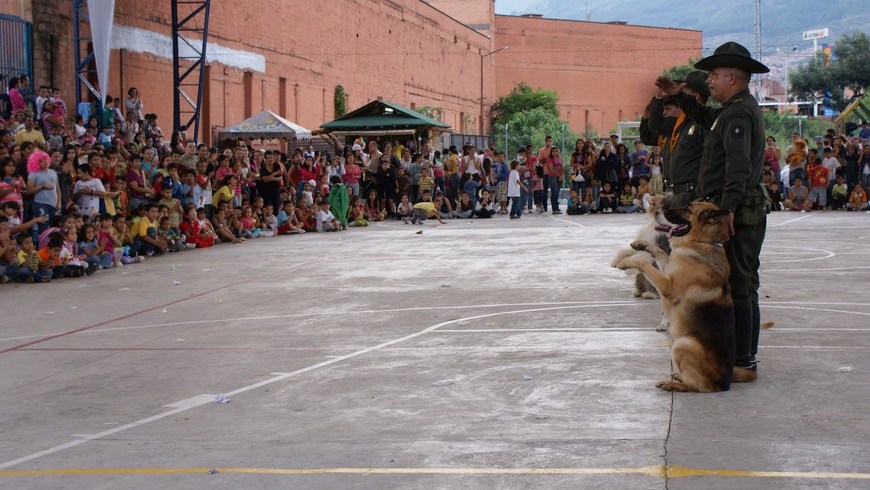 caninos (4)