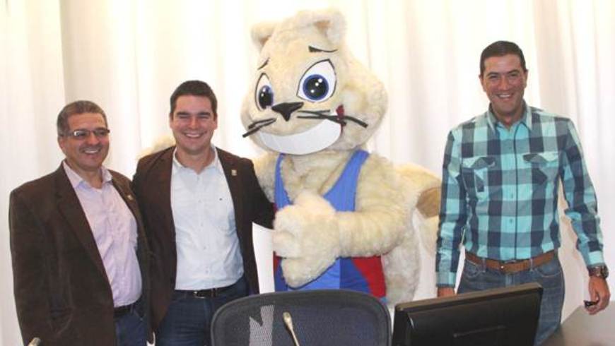 concejo copa gimnasia