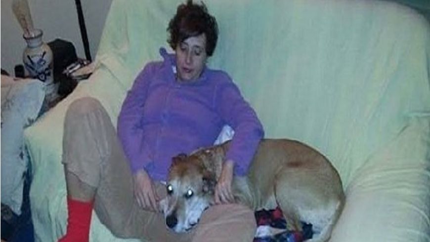 Excalibur, perro de Teresa Romero, enfermera contagiada con ébola