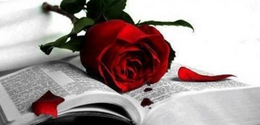 frases de amor2