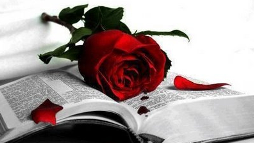 Curiosas citas de Amor y Sexo ¡Te sorprenderán! 4 frases de amor2